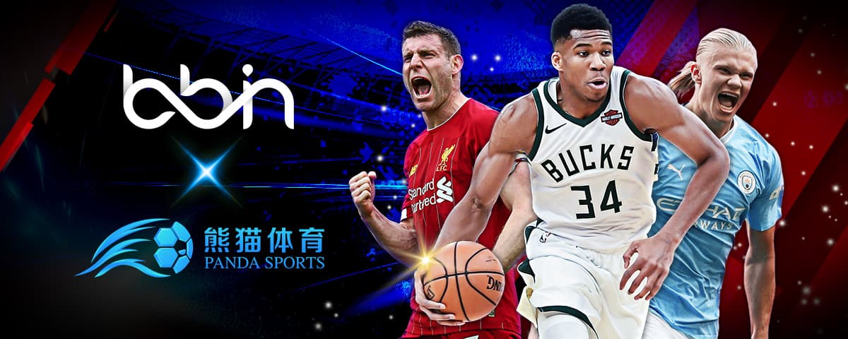 总结亮点