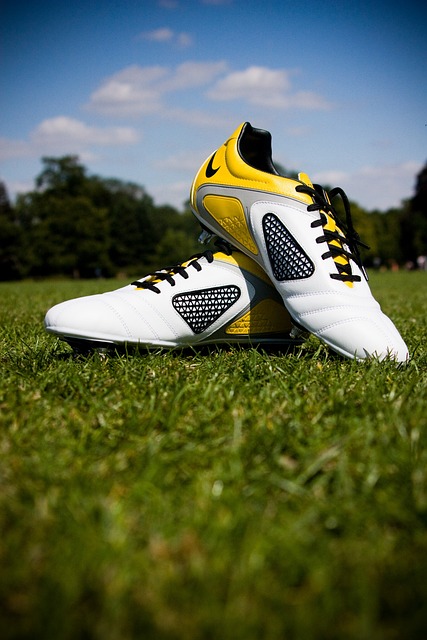 科莫将迎战 科莫将迎战